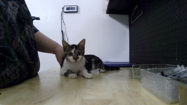 Molly thumbnail 2