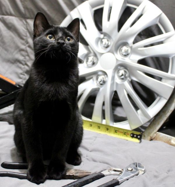 Hubcap