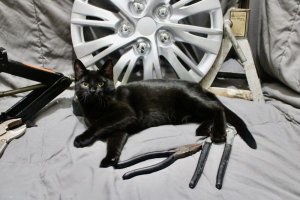 Hubcap thumbnail 2
