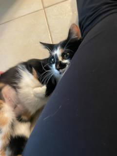 Miarose thumbnail 3
