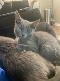 Luna Kay thumbnail 2