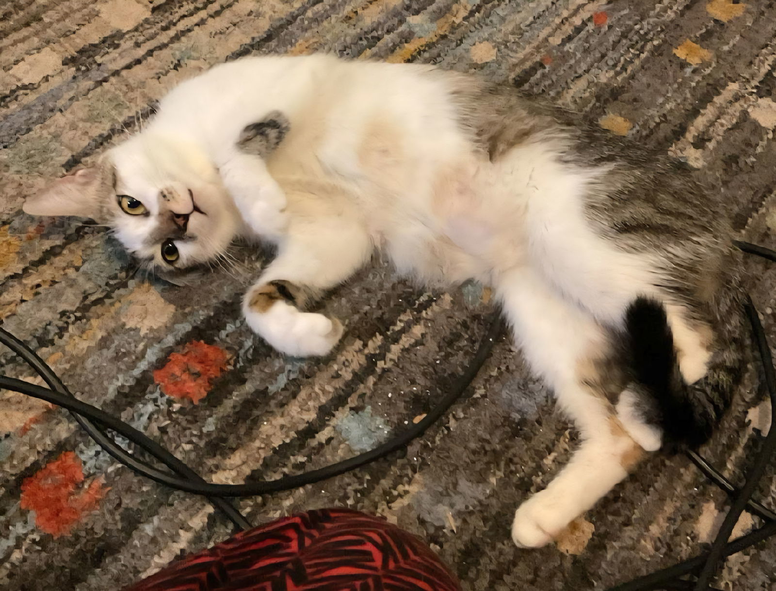 Pineapple Upside Down Cake