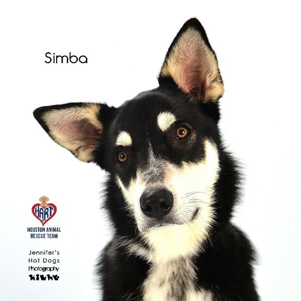 Simba