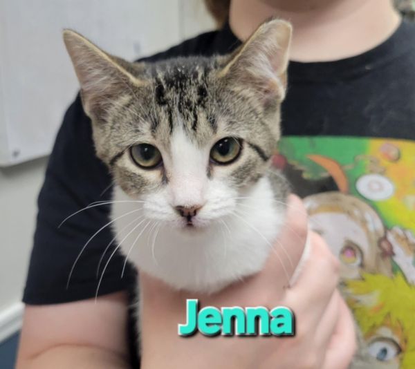 Jenna