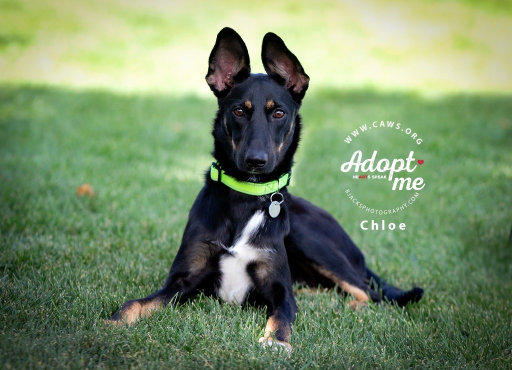 Chloe
