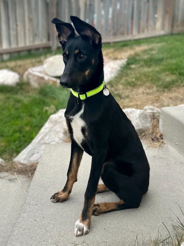 Chloe