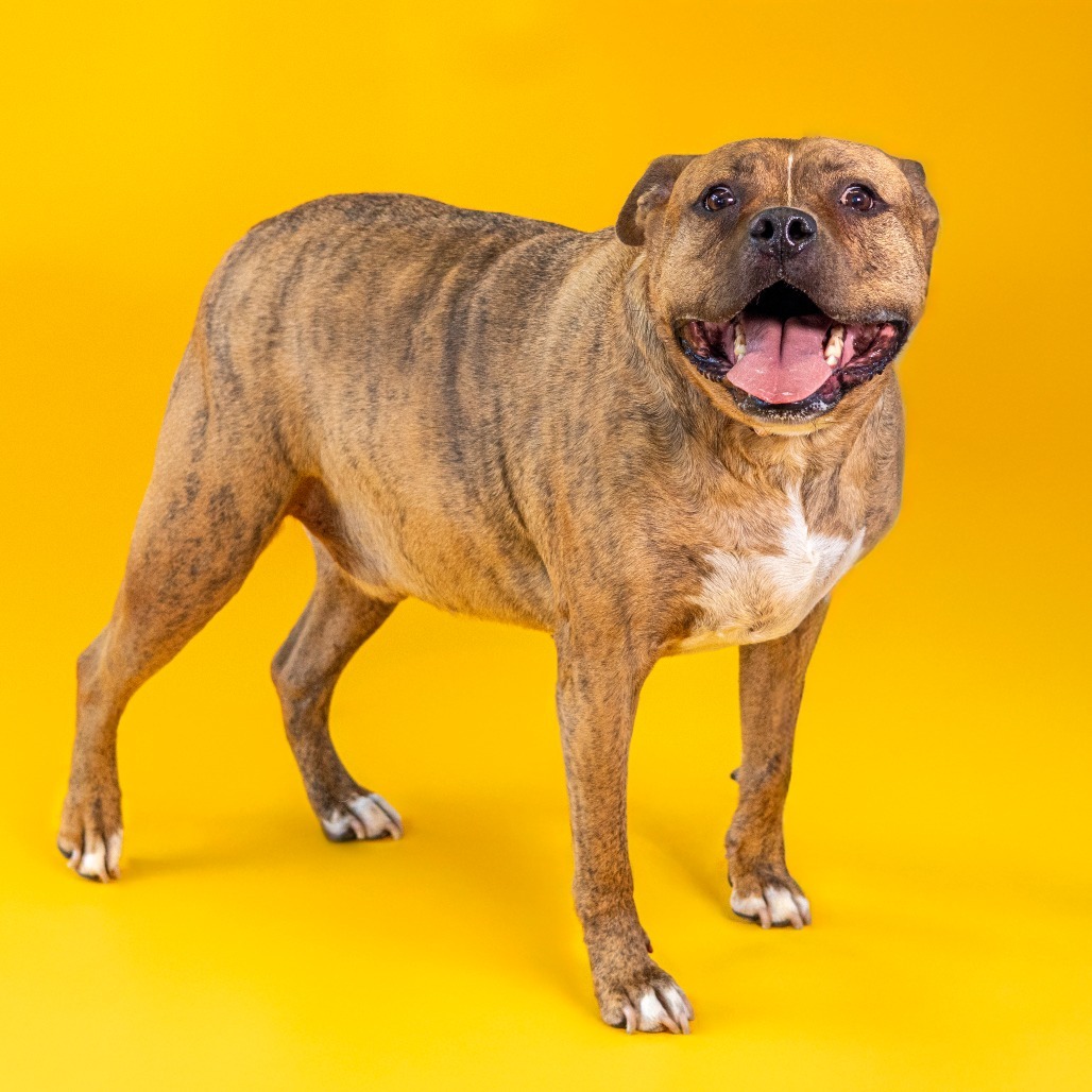 Zeus