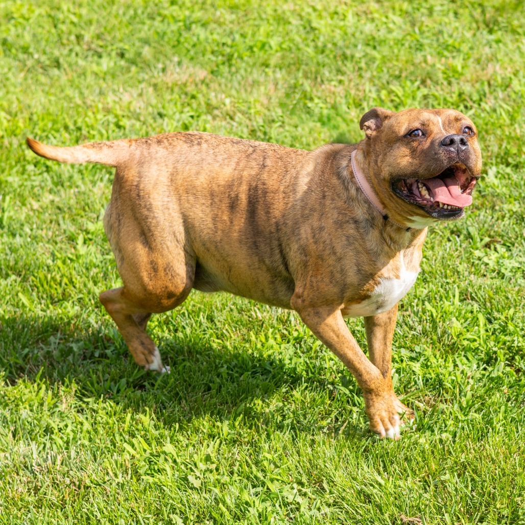 Zeus