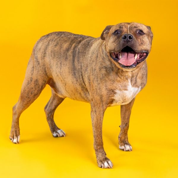 Zeus