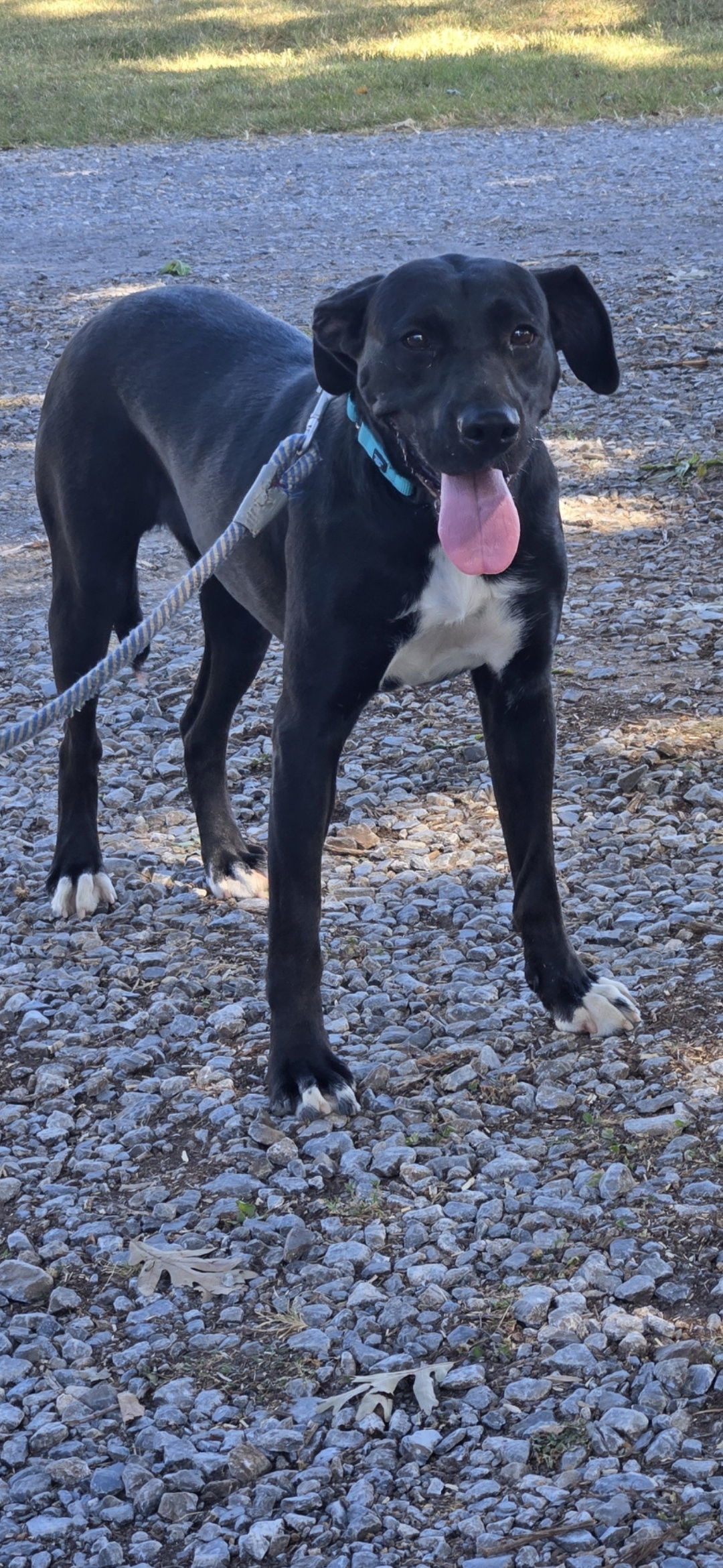 Windy: At shelter