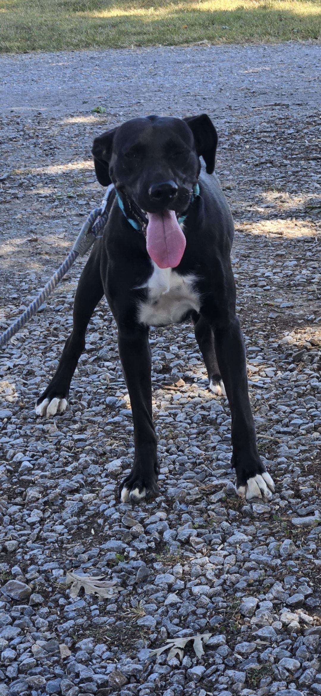 Windy: At shelter