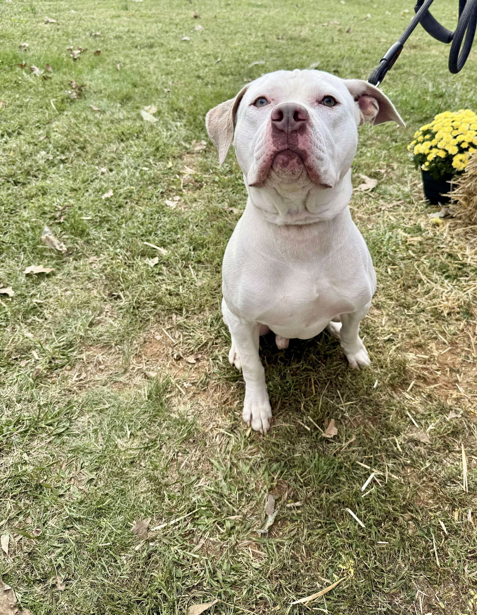 Jack: Not At shelter