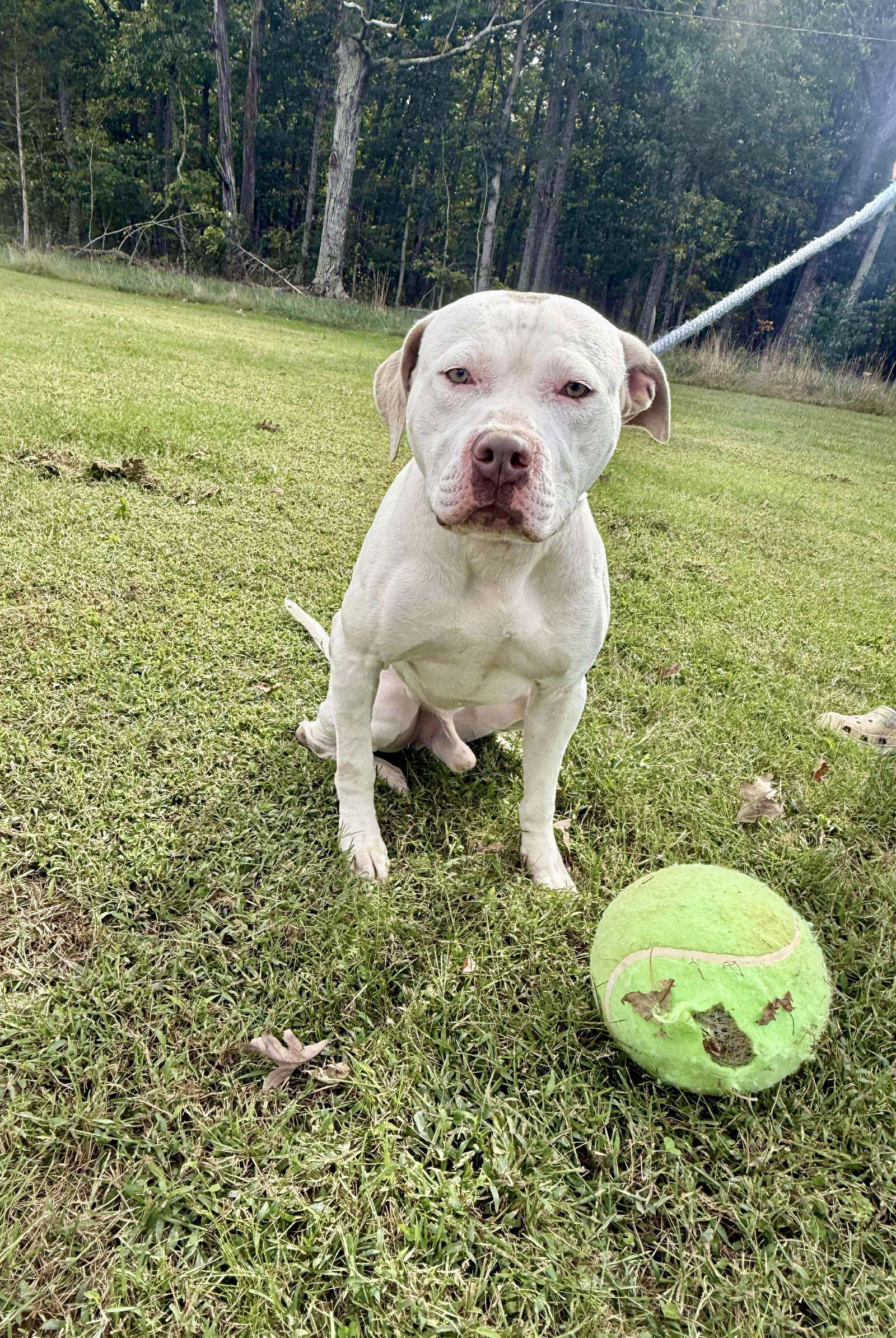 Jack: Not At shelter