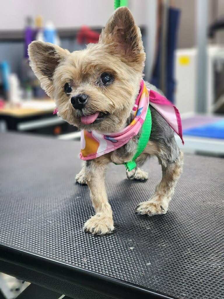 Zoey