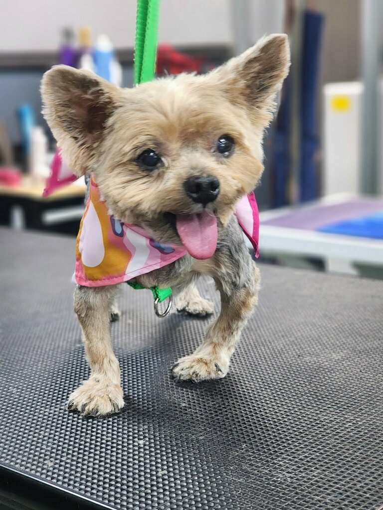 Zoey