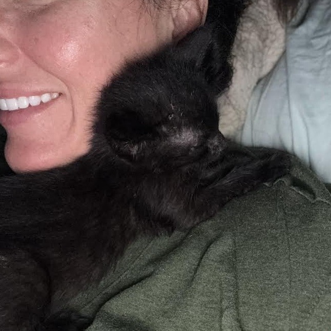 Just a Kitty 19