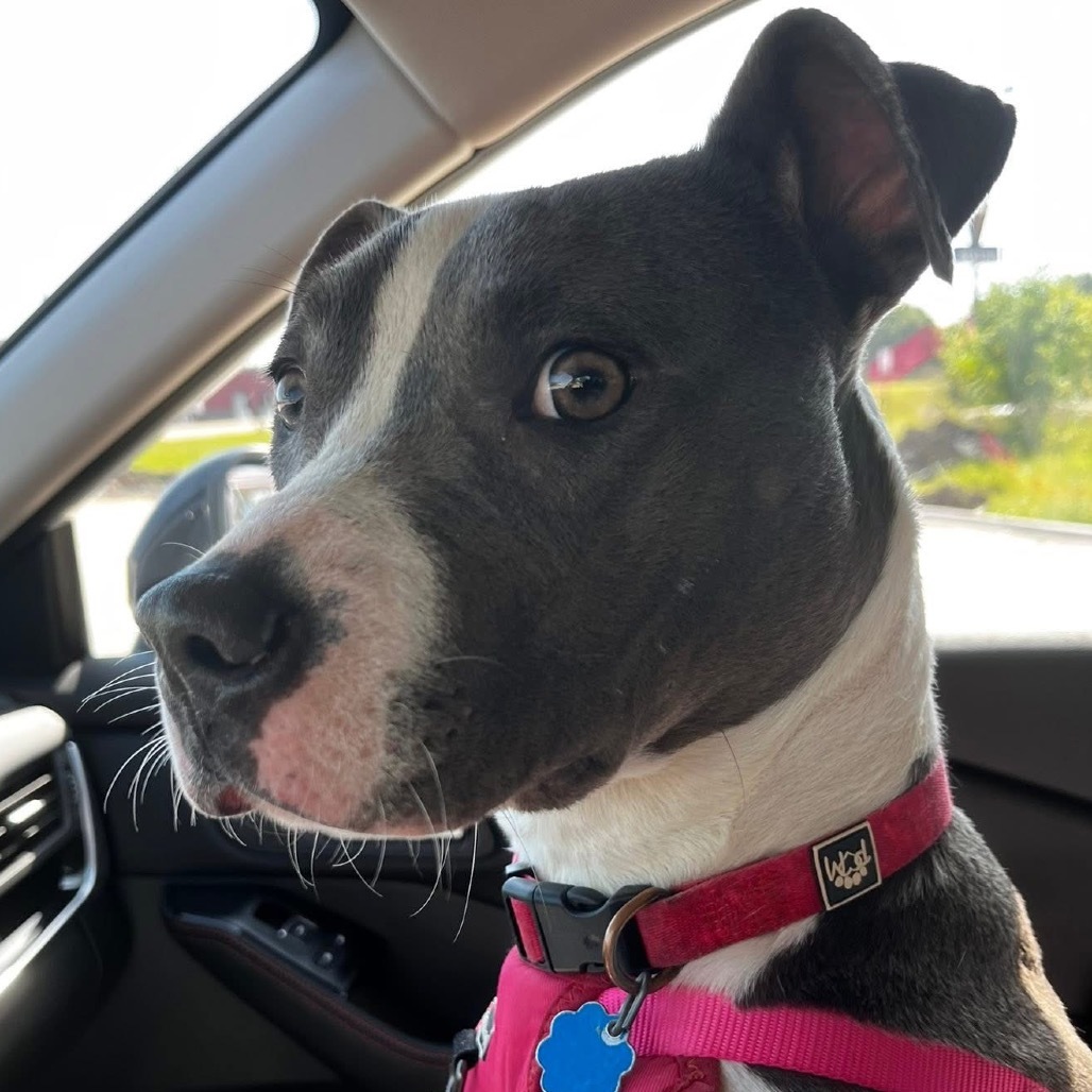 Betty