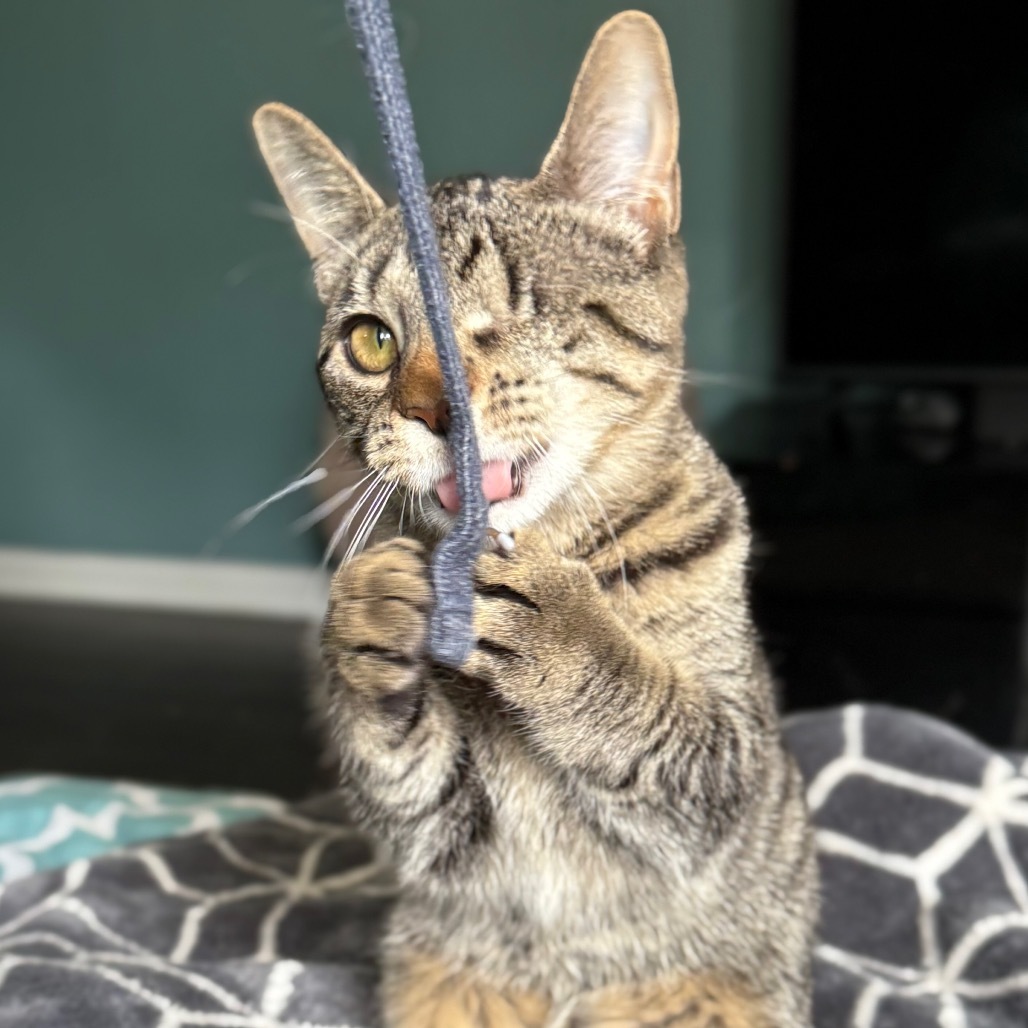 Leela