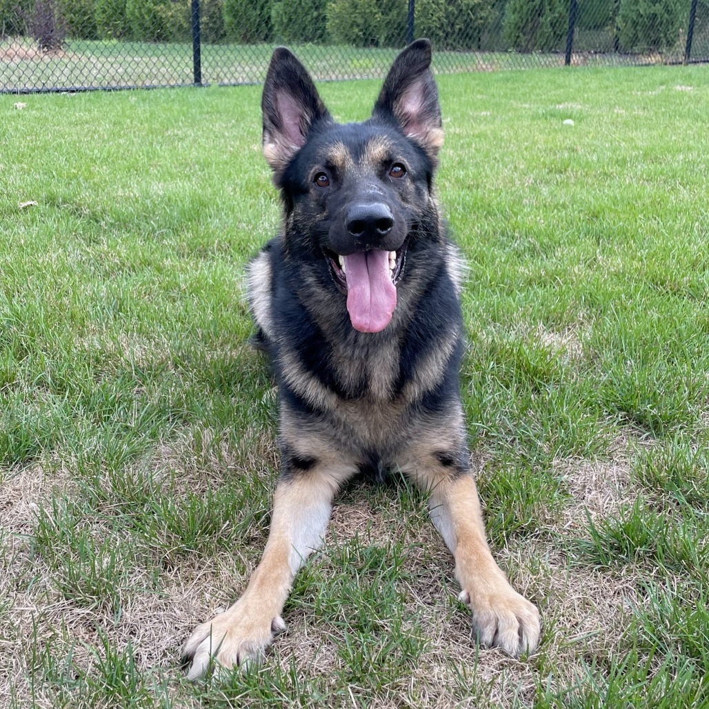 Ranger