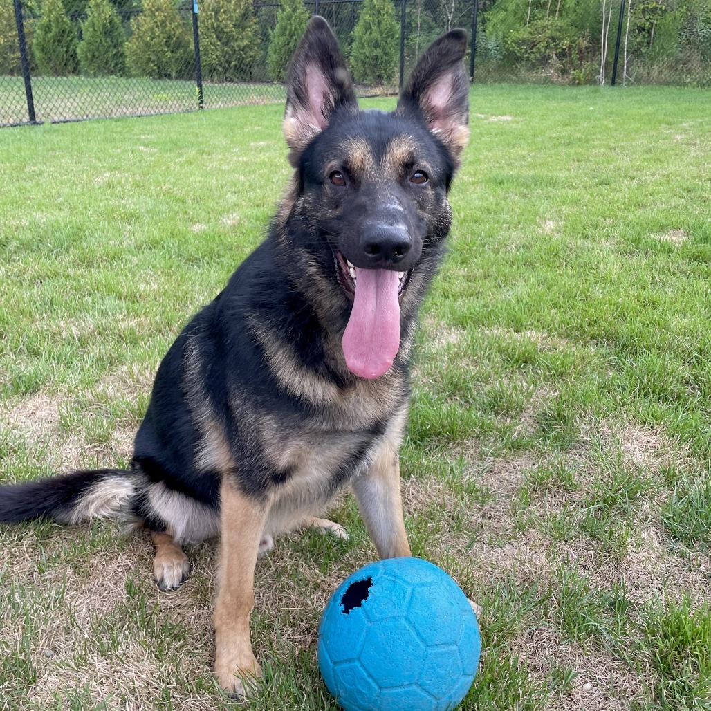 Ranger