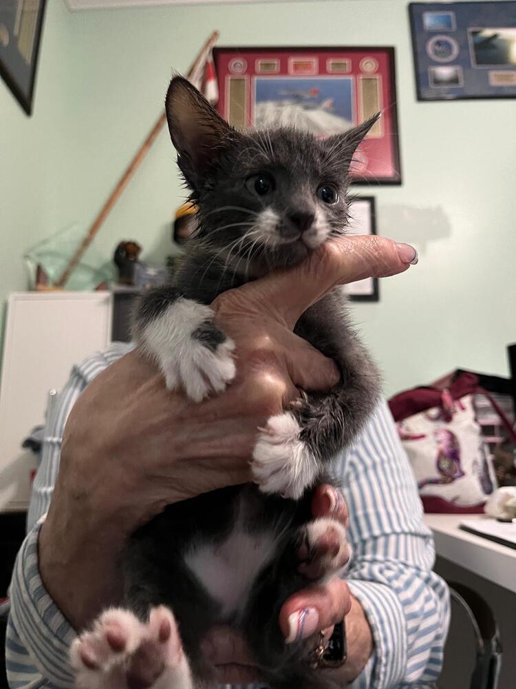 Berlioz