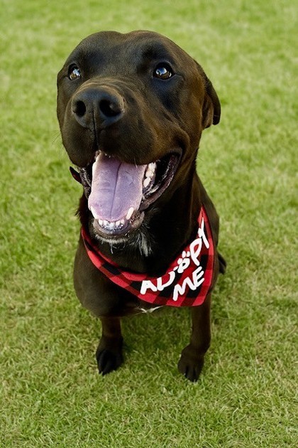 Clifford