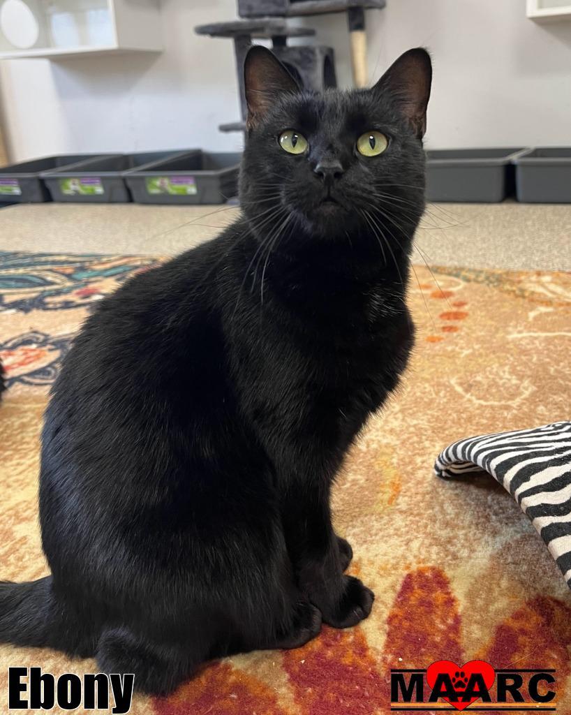 Ebony