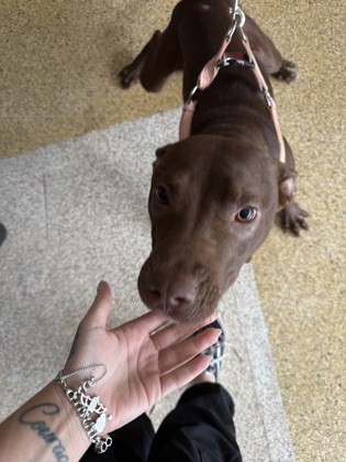 Columbo Foster