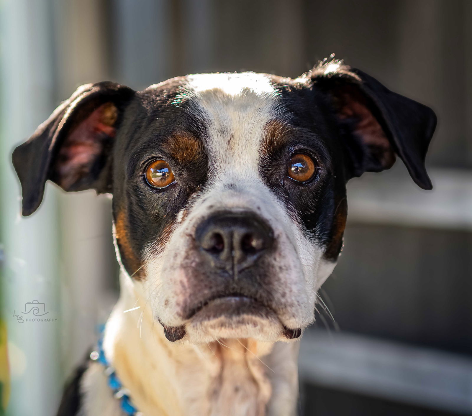 OTIS
