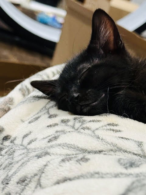 Carlos