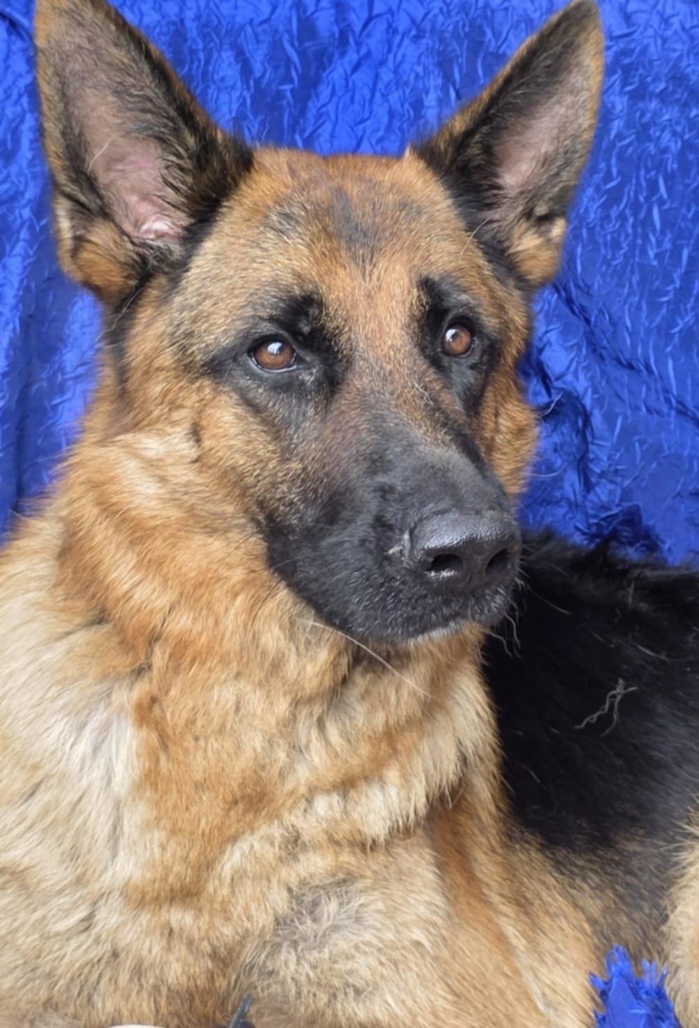 Zeus