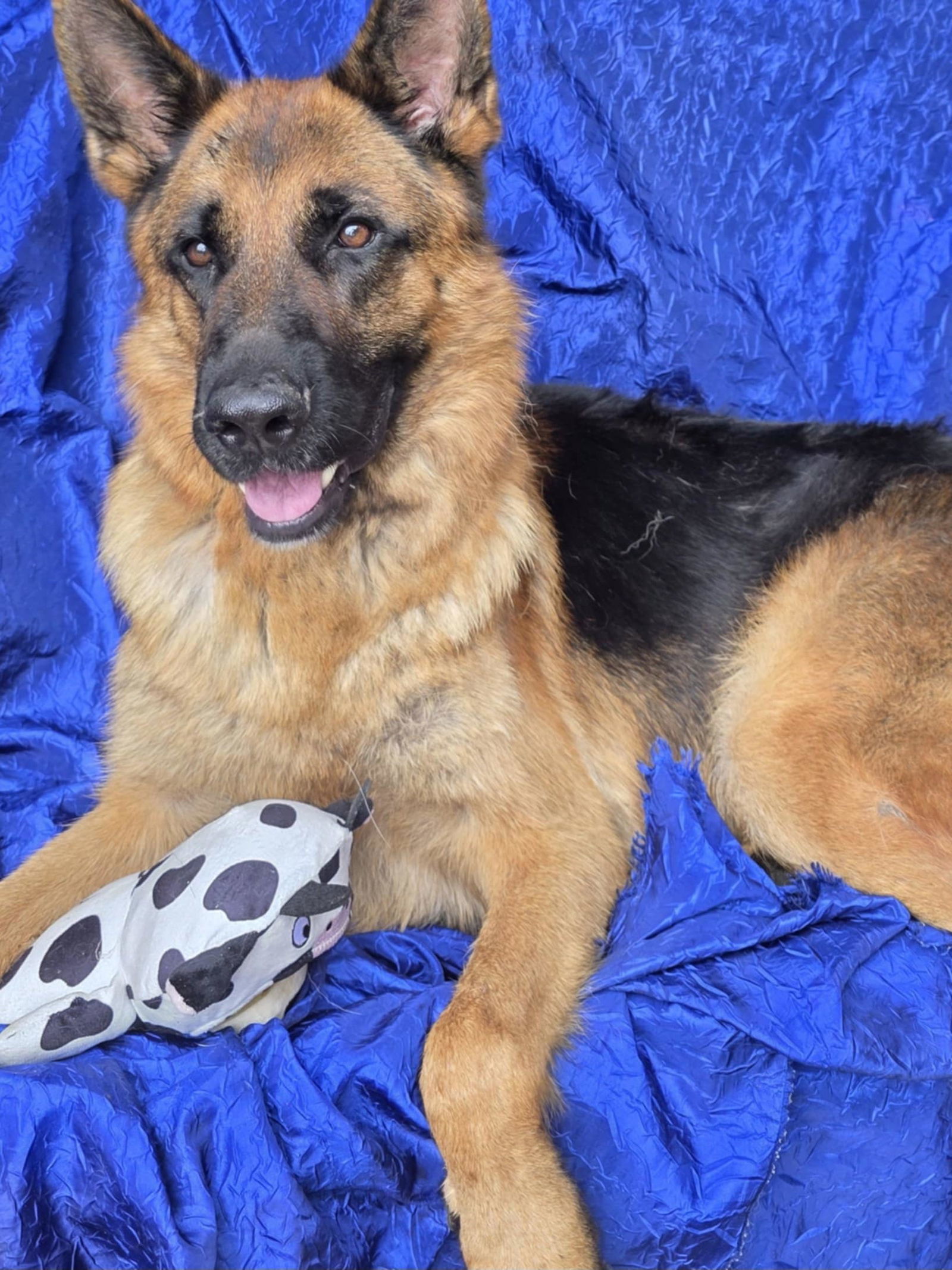 Zeus