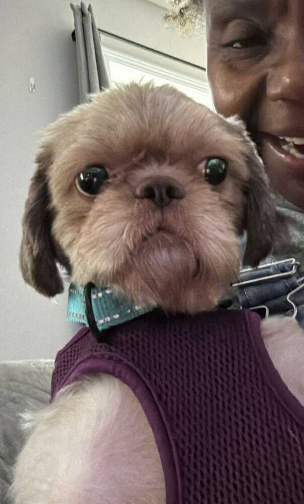 Coco