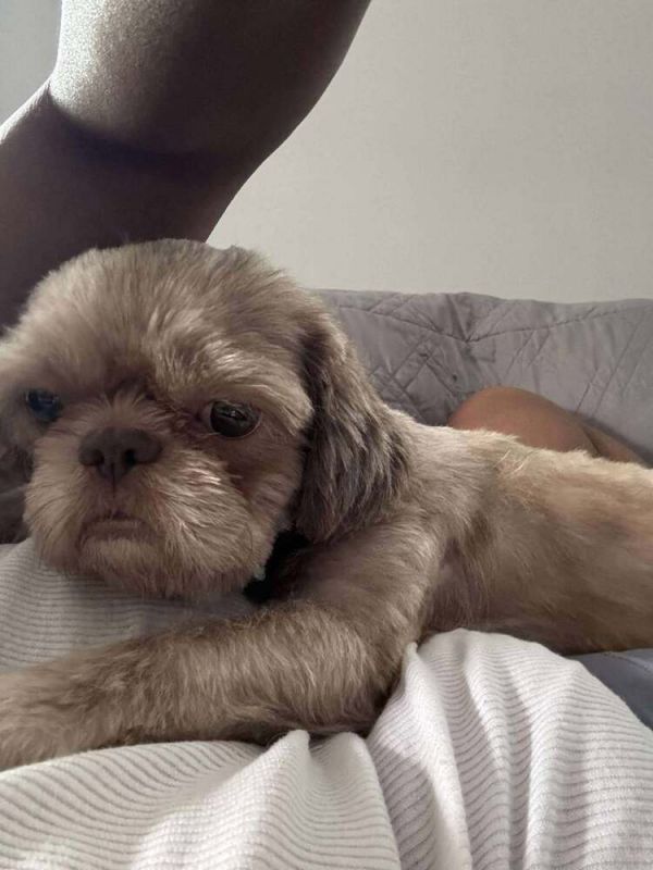 Coco thumbnail 3