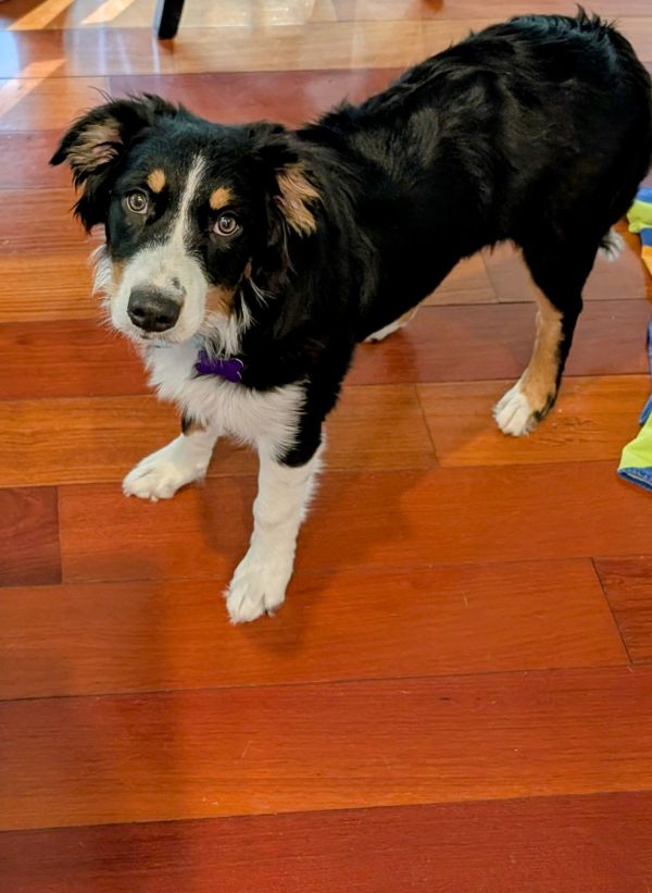 Marble Maggie