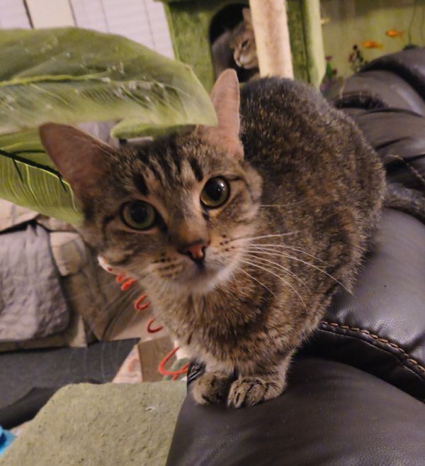 Abby