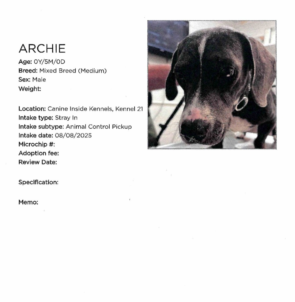 Archie