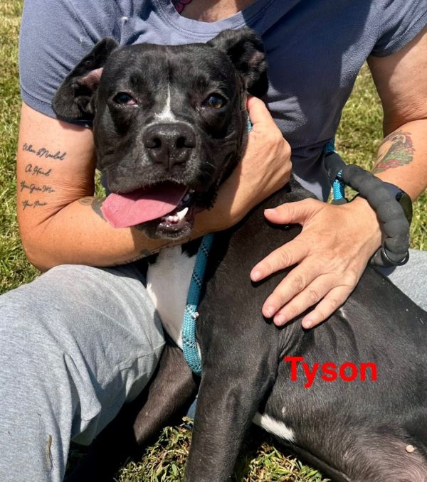 Tyson