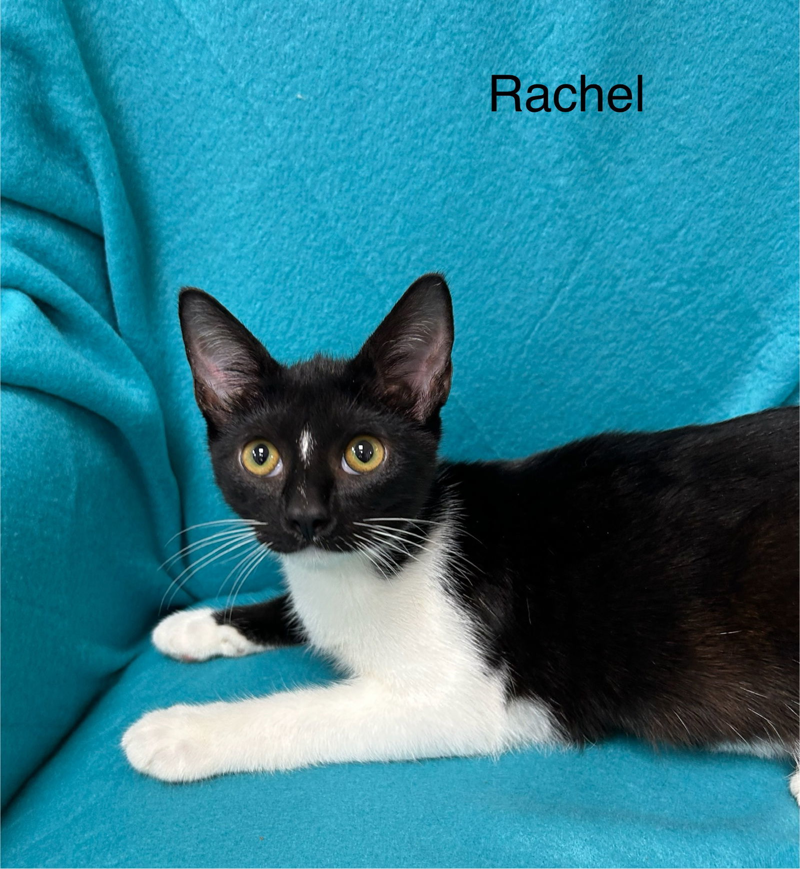 Rachel