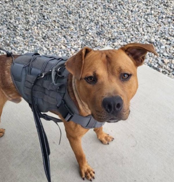 Lawrence thumbnail 2