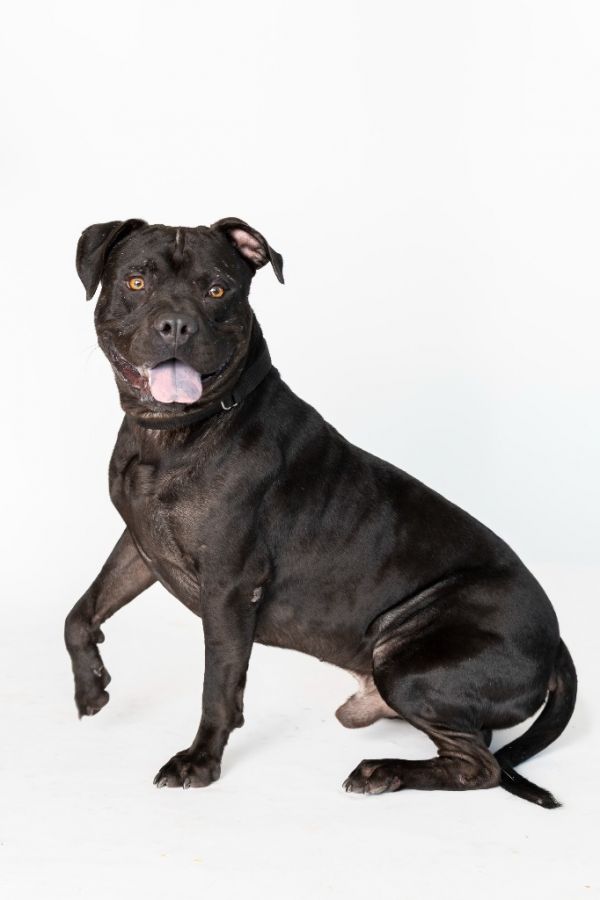 Ace Ventura thumbnail 2