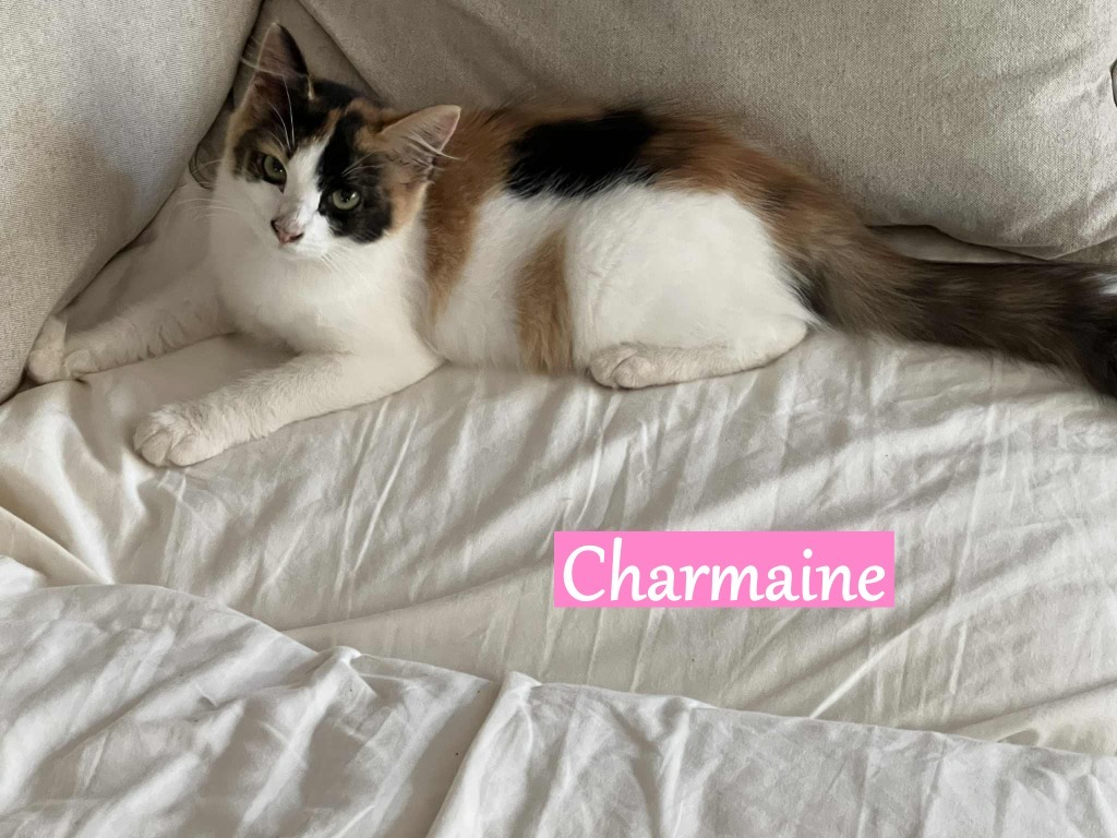 Charmaine
