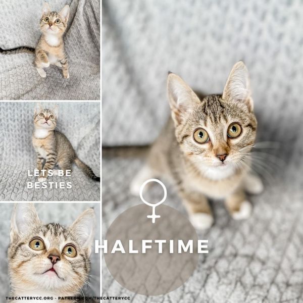 Halftime