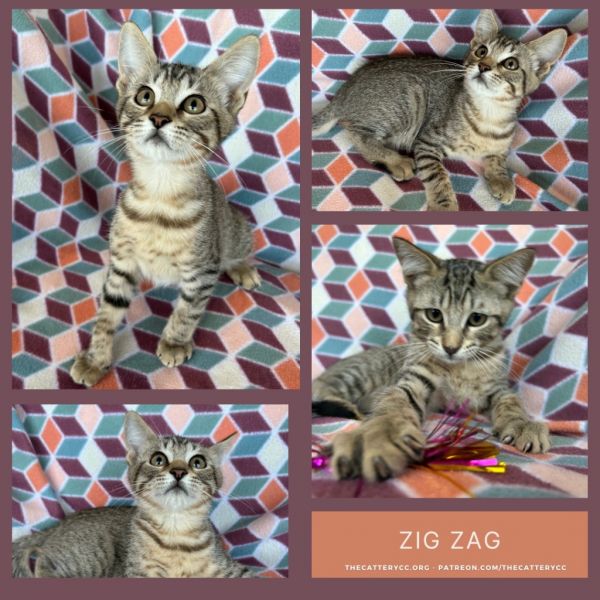 Zig Zag