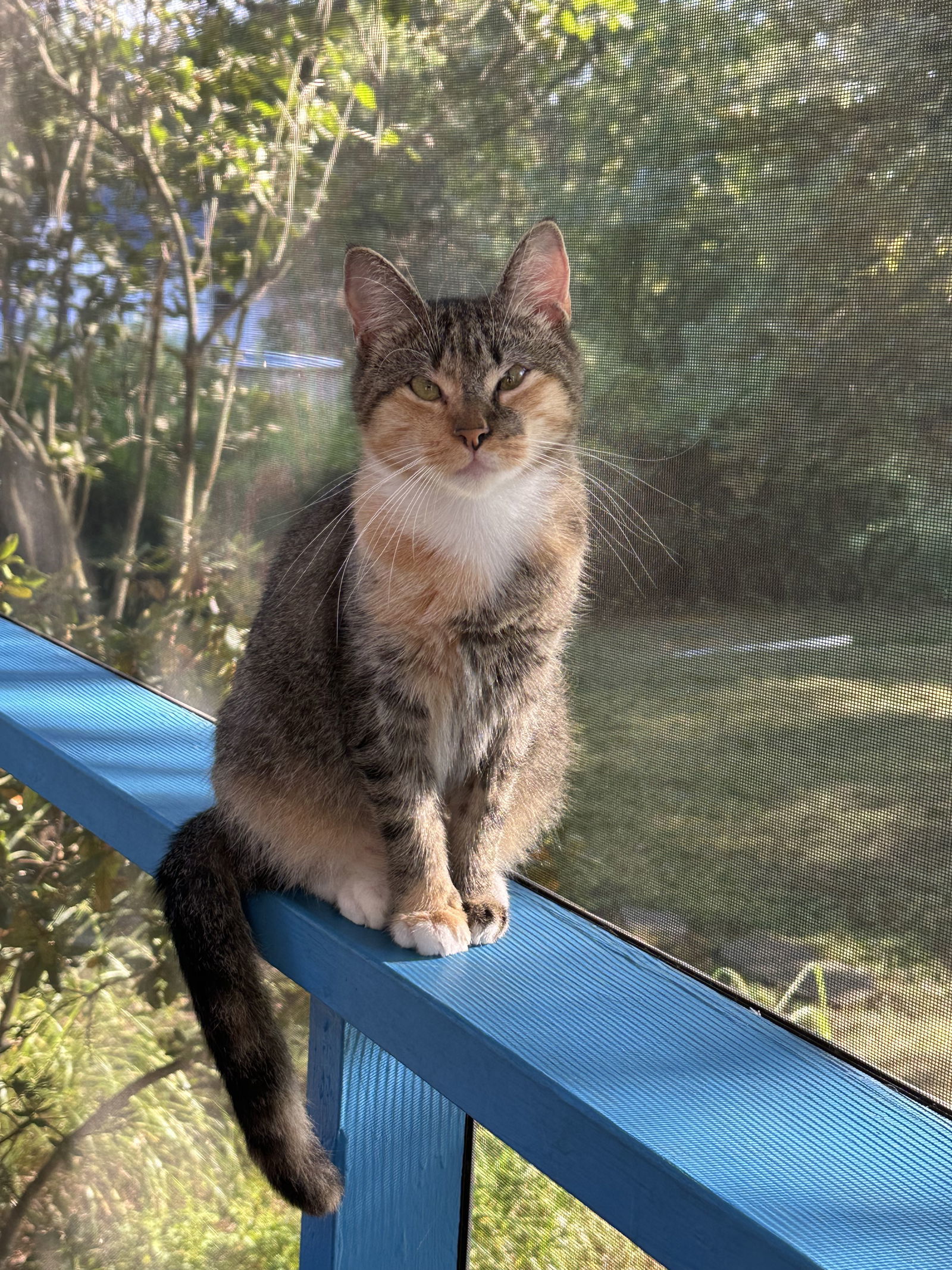 Theia (pronounced Thay-a)