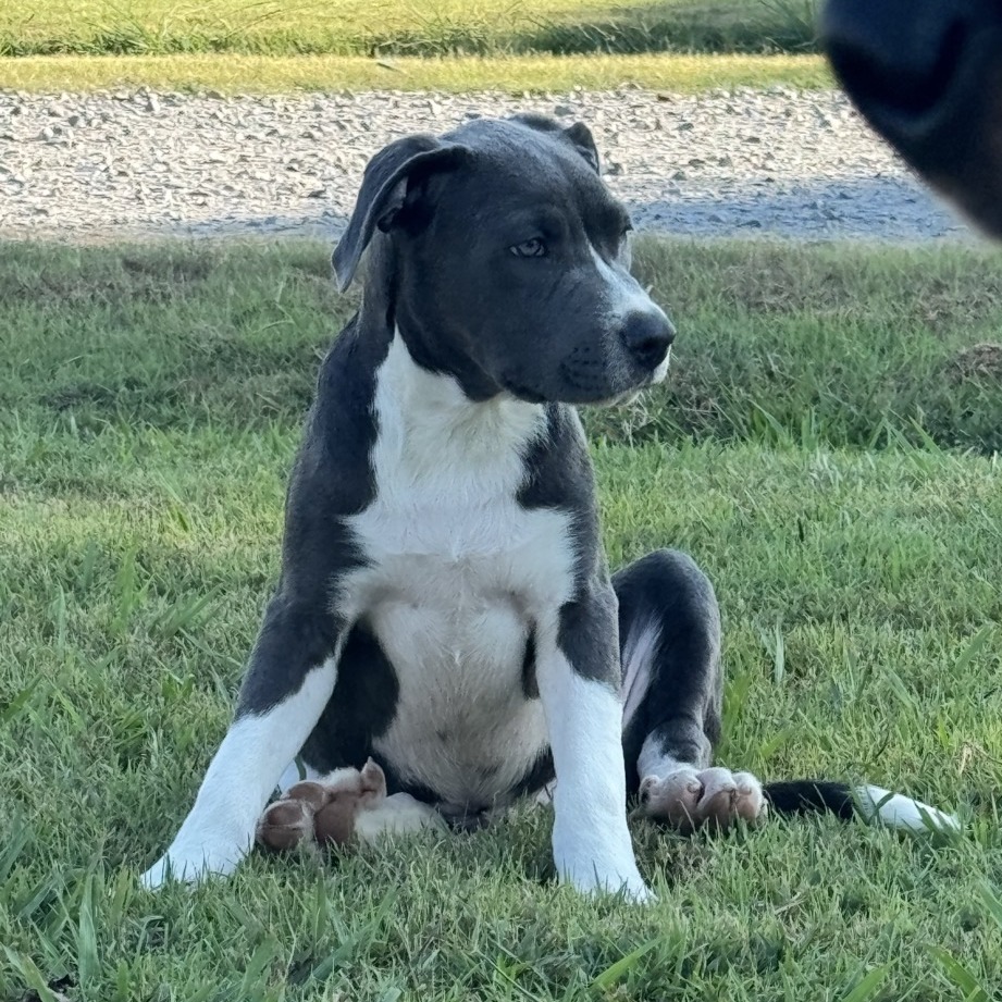 Max