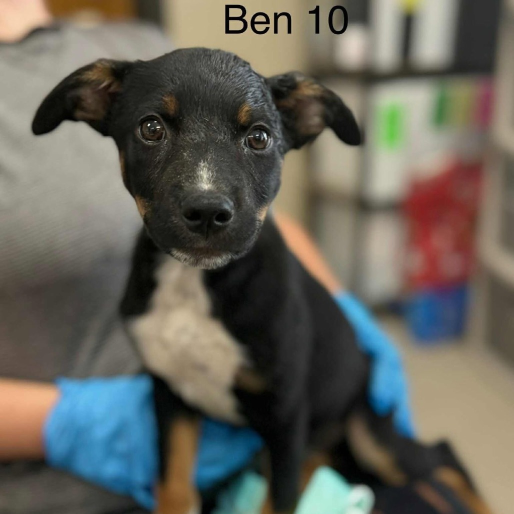 Ben 10