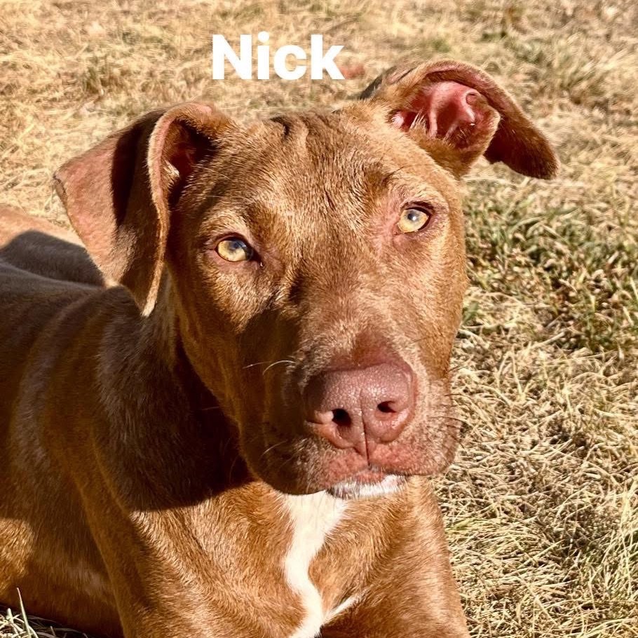 Nick