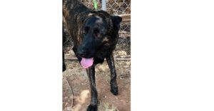 Shellie - Located in CO