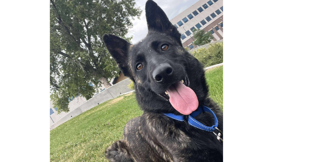 Shellie - Located in CO